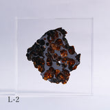 Stony-iron meteorite (L-Size)