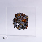 Stony-iron meteorite (L-Size)