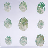 Sanriku hisui awabi(Jade Abalone Shell)【Plate】