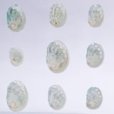 Sanriku hisui awabi(Jade Abalone Shell)【Plate】