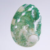 Sanriku hisui awabi(Jade Abalone Shell)【Plate】