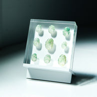 Sanriku hisui awabi(Jade Abalone Shell)【Plate】