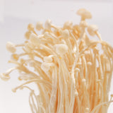 Flammulina velutipes