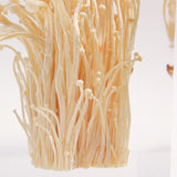 Flammulina velutipes