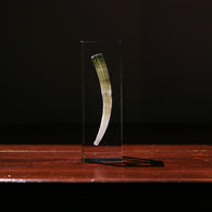 Dentalium elephantinum