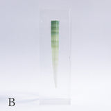 Dentalium elephantinum