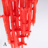 organ-pipe coral