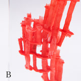 organ-pipe coral