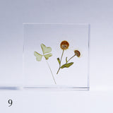 wildflowers