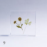 wildflowers