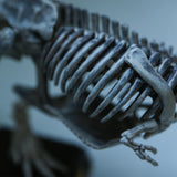 Prehistoric life