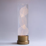 Sola lume -03 Skeleton leaves-