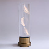 Sola lume -05 Three feathers-