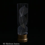 Sola lume -03 Skeleton leaves-