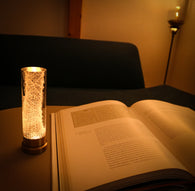 Sola lume -02 Glass sponge-