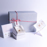 Sola cube HOLIDAY Set　【White】