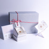 Sola cube HOLIDAY Set　【White】