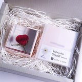 Sola cube HOLIDAY Set　【White】