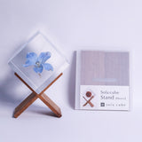 Sola cube HOLIDAY Set　【Brown】