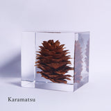 Sola cube HOLIDAY Set　【White】