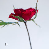 Rose(with stem)