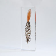 Lady Amherst's Pheasant feather