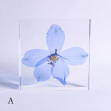 Siberian Larkspur 【Plate】
