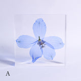 Siberian Larkspur 【Plate】