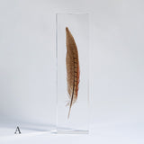 Pheasant feather