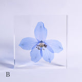 Siberian Larkspur 【Plate】