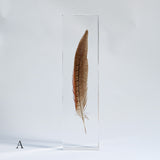 Pheasant feather