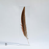 Pheasant feather