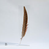 Pheasant feather