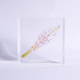 Alstroemeria【White】