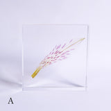 Alstroemeria【White】