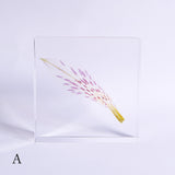 Alstroemeria【White】