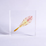 Alstroemeria【Yellow】