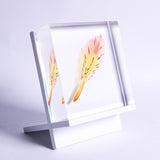 Alstroemeria【Yellow】