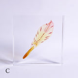 Alstroemeria【Yellow】