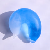 The daily life of a caterpiller -Soda-【Yuuka Shibasaki】