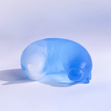 The daily life of a caterpiller -Soda-【Yuuka Shibasaki】