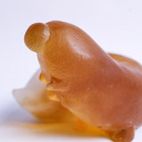 The daily life of a caterpiller -Amber-【Yuuka Shibasaki】