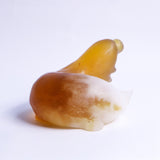 The daily life of a caterpiller -Amber-【Yuuka Shibasaki】