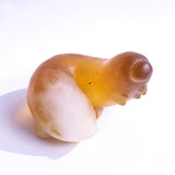 The daily life of a caterpiller -Amber-【Yuuka Shibasaki】