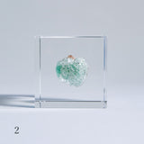 Green Apophyllite (2.0in cube)