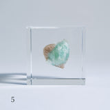 Green Apophyllite (2.0in cube)