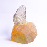 Silver streak【Yuuka Shibasaki】