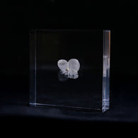 Hydrangea plate -one flower-