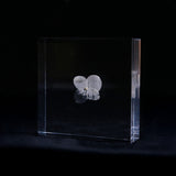 Hydrangea plate -one flower-