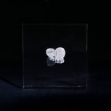 Hydrangea plate -one flower-